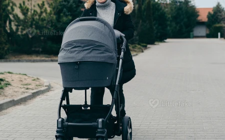 Choosing the Right Stroller Image