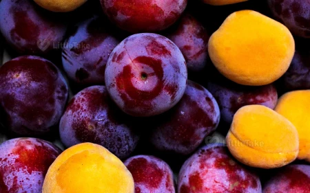 Plums for Bone Health Image