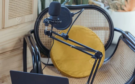 The Rise of Podcasts in 2024 Image