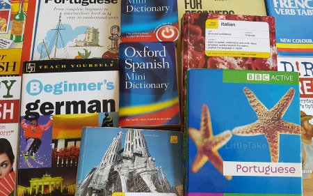 Mastering a Foreign Language Image