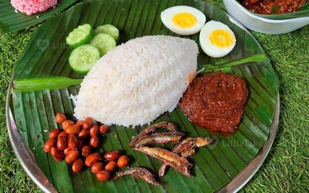 Delicious Malaysian Nasi Lemak Image