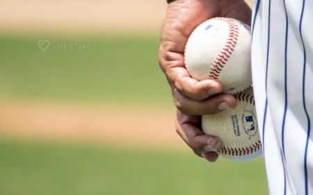 Baseball or Softball Image