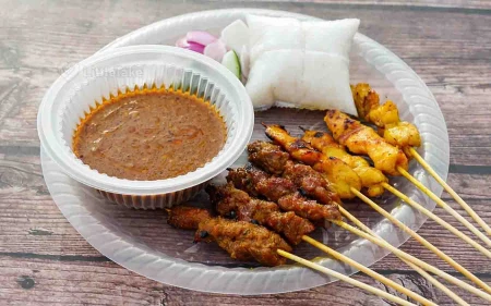 Malaysian Chicken Satay Recipe Image