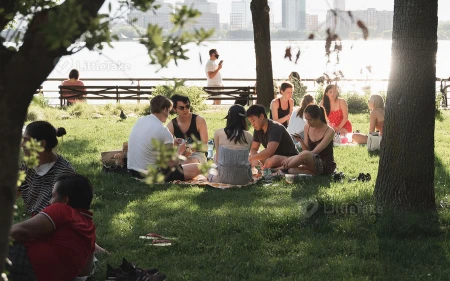 Picnic in the Park Image