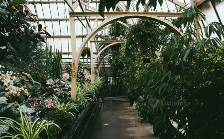 Botanical Garden Visits Image