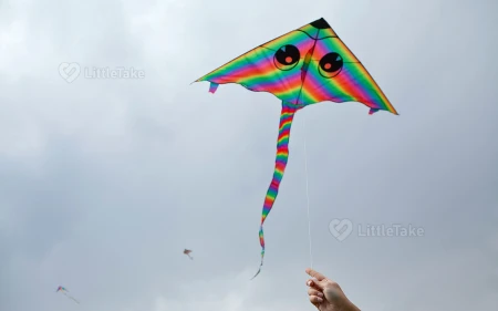 Kite Flying Fun Image