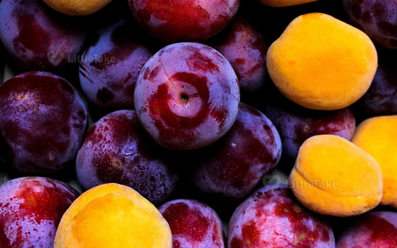 Plums for Bone Health 