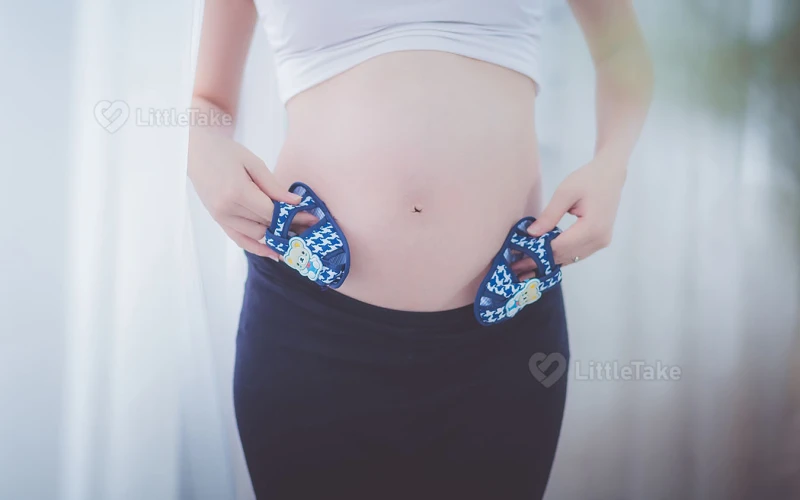 Understanding Your Basal Body Temperature
