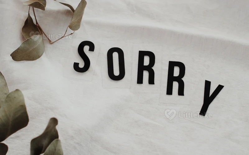 The Power of Apology