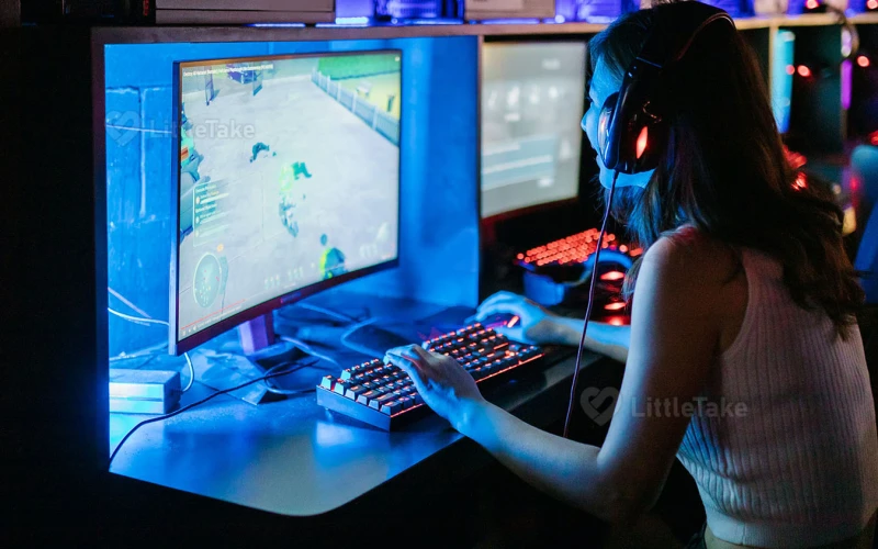 Women in Gaming 2024 Edition LittleTake