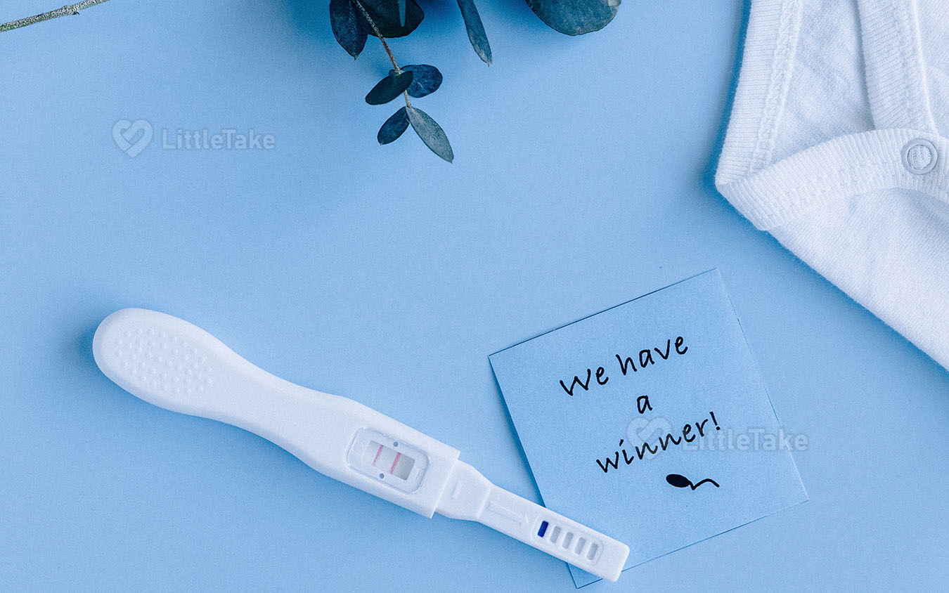 Understanding Ovulation Induction LittleTake